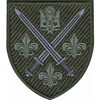 Шеврон 155 ОМБр оливковий