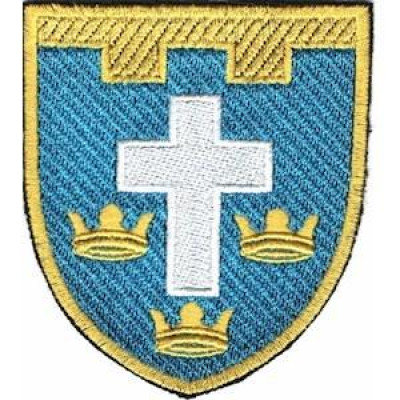Шеврон ТРО 124 Бр (Херсонская обл)  цветной