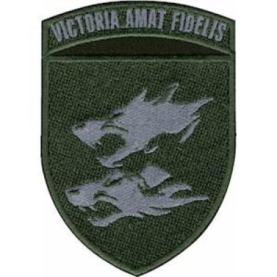 Шеврон 38 ОБрМП "Victoria Amat Fidelis" оливковый