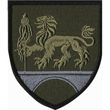 Шеврон 762 бригада охорони ДССТ олива