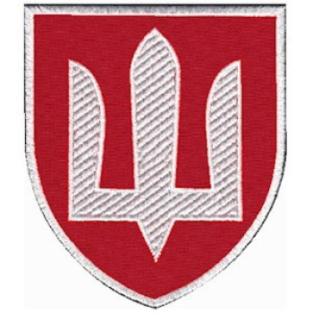 Шеврон Військова служба правопорядку (ВСП) кольоровий