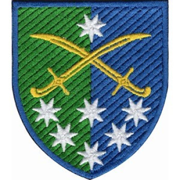 Шеврон 142 ОМБр кольоровий