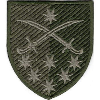 Шеврон 142 ОМБр оливковий