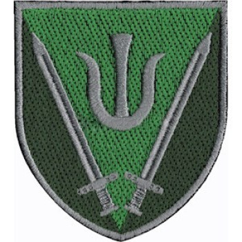Шеврон 160 ОМБр кольоровий