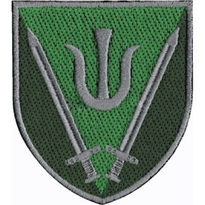 Шеврон 160 ОМБр цветной