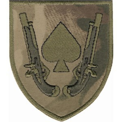 Шеврон 21 ОМБр мультикам