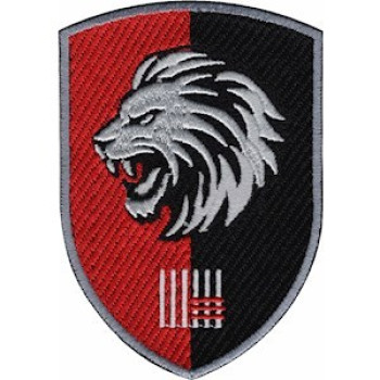 Шеврон 63 ОМБр цветной