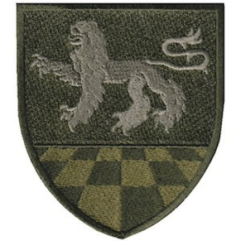 Шеврон 239 общевойсковой полигон полевой
