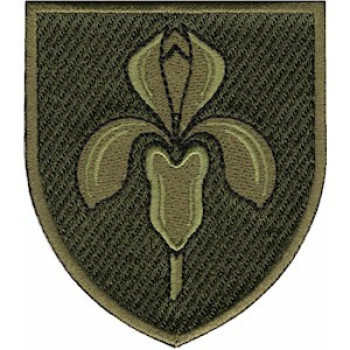 Шеврон 11 ЗРБр оливковий