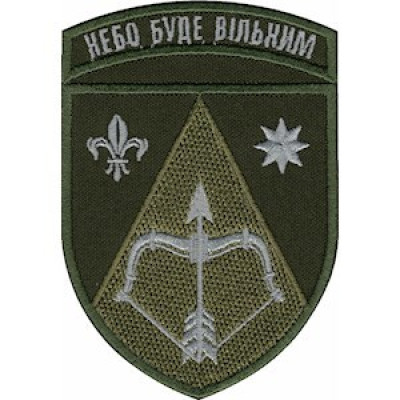 Шеврон 208 ЗРБр Небо буде вільним оливковий