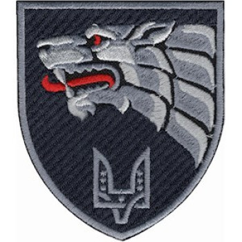 Шеврон 142 учебный центр ССО серый