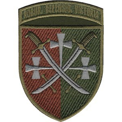 Шеврон 14 армейский корпус «Robur, Oefensio, Victoria» оливковый