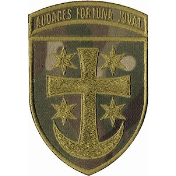 Шеврон 21 армійський корпус мультикам