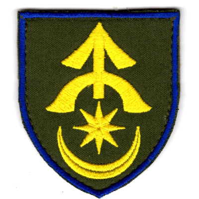 Шеврон 31 ОМБр цветной