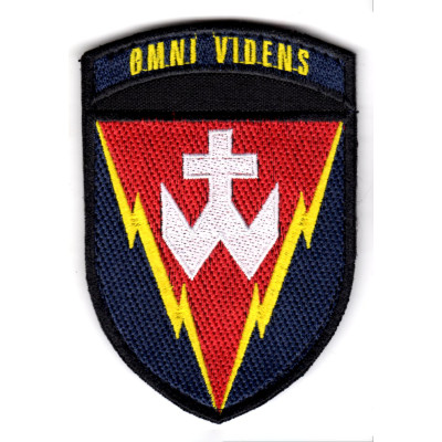 Шеврон 14 РТБр Omni Videns цветной